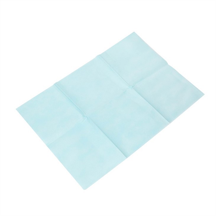 hydrophilic disposable pillow case 2