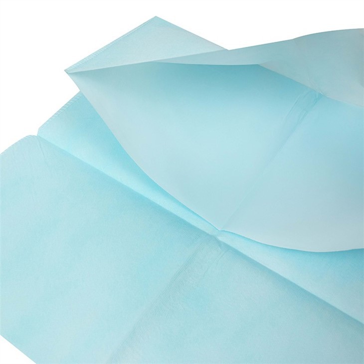 hydrophilic disposable pillow case 4